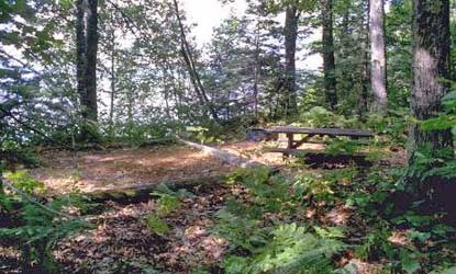 Basswood Site 4