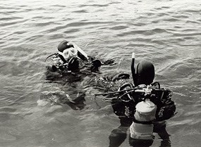 Scuba Divers Scuba Divers