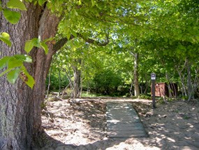 York Island Campsite #1 York Island Campsite #1