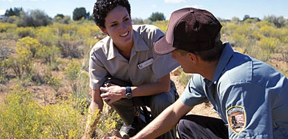 Volunteers and SCAs play a key role in park operations