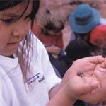 Student observing decomposers