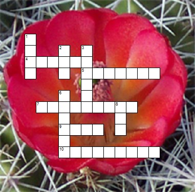 An unsolved crossword puzzle overlaid on a closeup of a cactus with a red flower