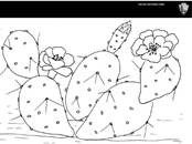 A coloring page with a line drawing of a cactus with two large flowers