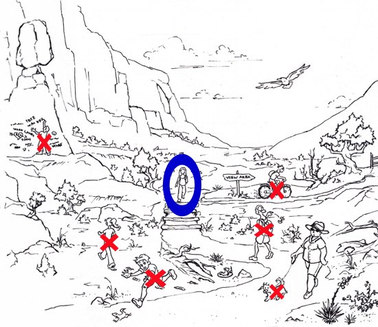 A line drawing of 7 people hiking in the desert. 6 of them are covered with a red X: 1 doing graffiti, 1 walking off trail, one chasing a lizard, 1 walking a dog, 1 littering, and 1 biking. The 7th person is circled in blue. She is staying on the trail.