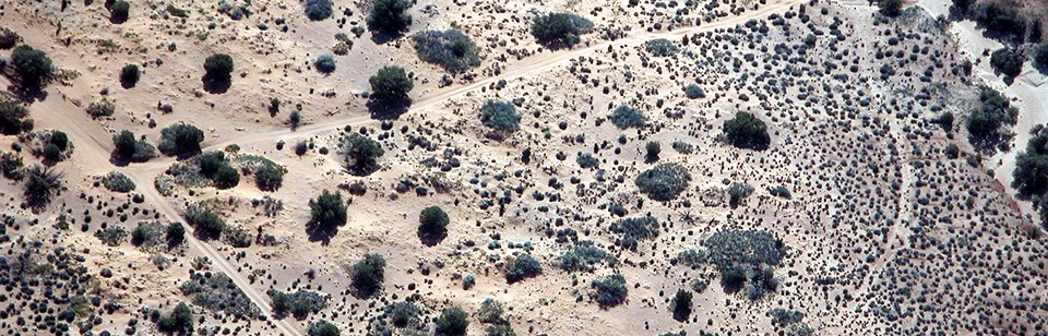 An aerial view of a tan desert landscape with sparse vegetation and vehicle tracks running throughout.