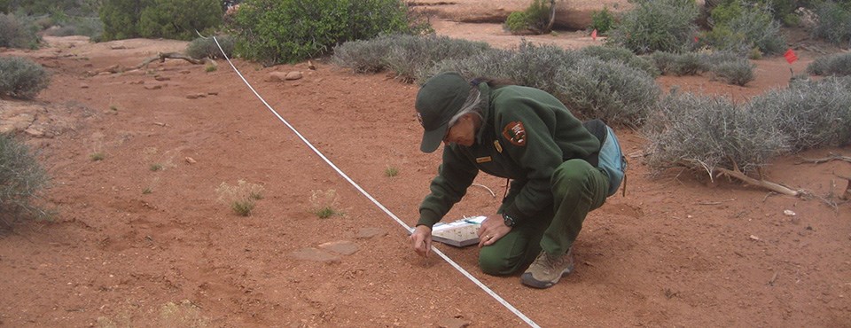 A ranger kneels next to a measuring tape stretched across an area of bare sand looking at the soil. Lying on the ground next to her is a clipboard.
