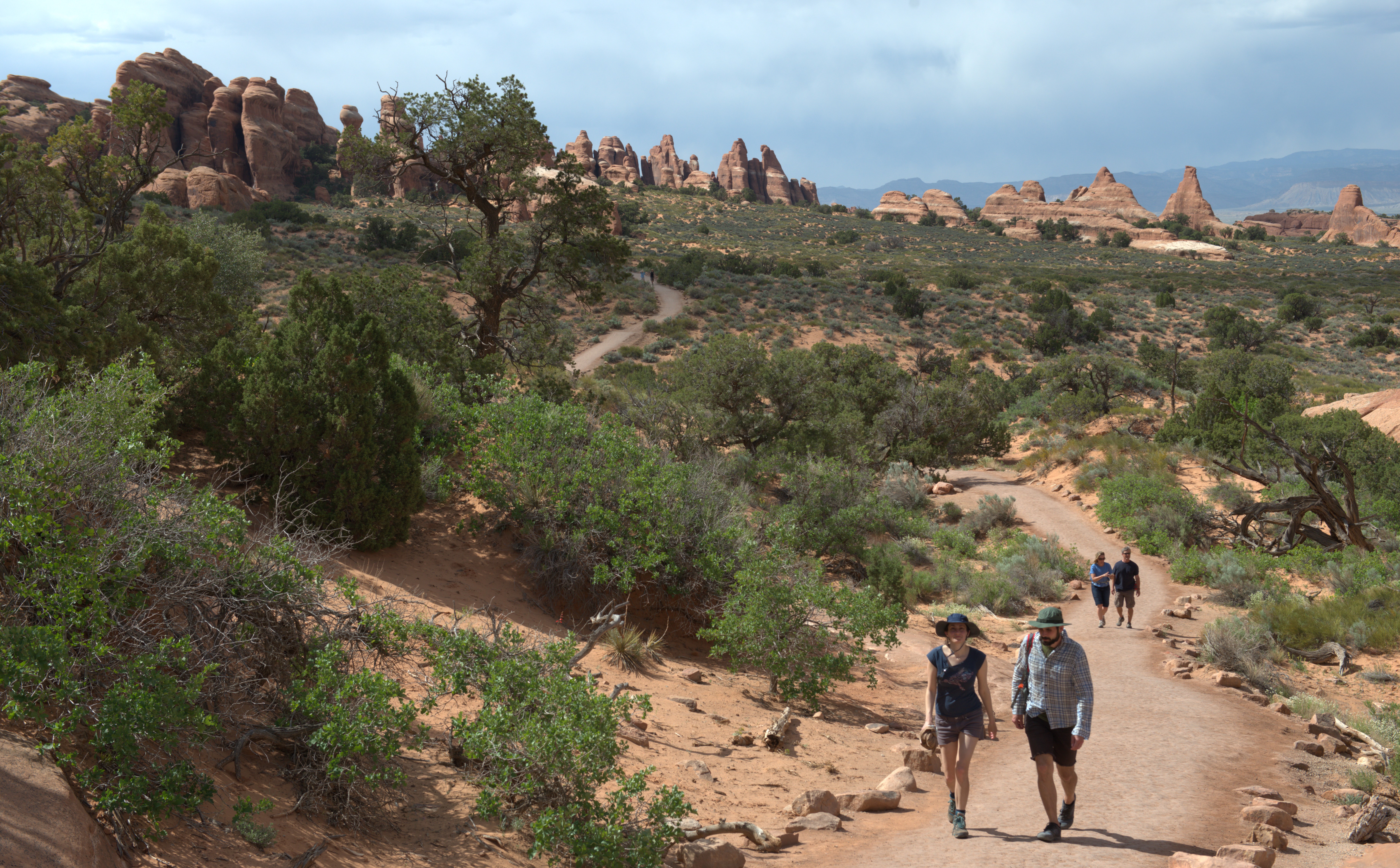 hikers on Devils Garden trail four hikers walk trail past green bushes and low trees, tan rock formations in background