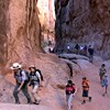 A line of hikers following a ranger through a red rocky canyon.