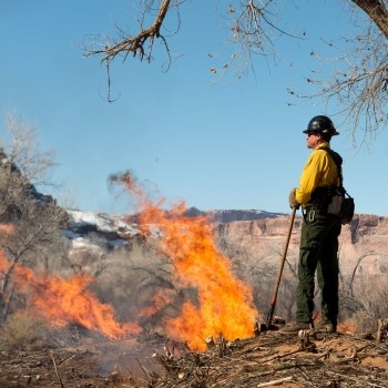 A male firefighter wearing a helmet, yellow shirt, and green pants watches a controlled fire burn.