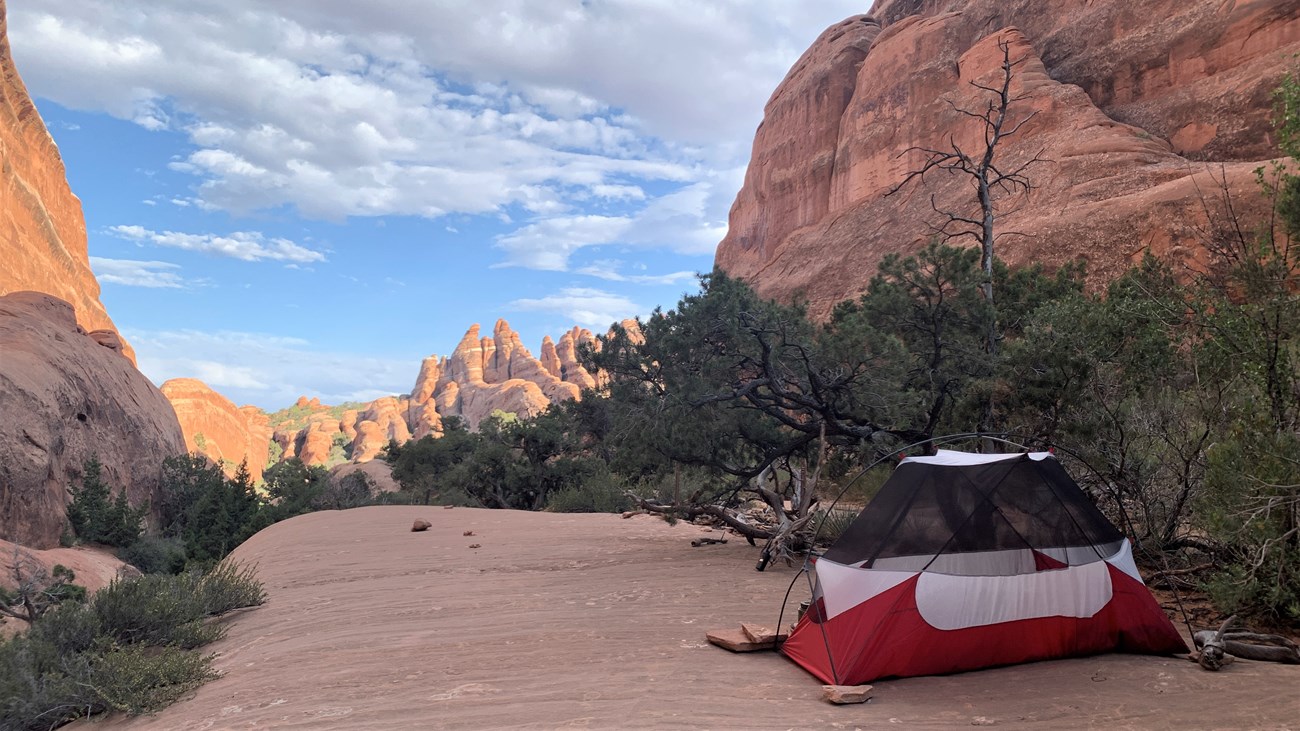 A backpacker's tent set up in a designated backcountry campsite against a backdrop of sunlit sandstone fins and shrubs.