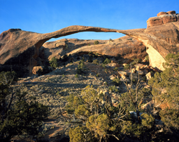 A thin arch bridges the gap between two large rocks. The sky is blue and the desert landscaped is scattered with green vegetation.