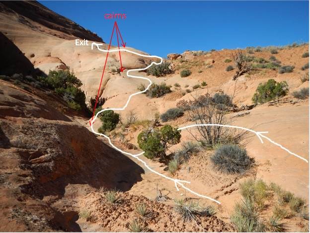 Exposed rock surrounding an area of sand and soil crust. Small green shrubs are growing in crust. A social trail goes through the crust. There are white and red lines showing that the trail goes on the hard rock surfaces, not through the crust.