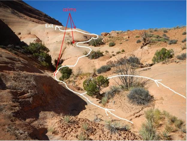 From the drainage, follow cairns to exit entirely on slickrock. Exposed rock surrounding an area of sand and soil crust. Small green shrubs are growing in crust. A social trail goes through the crust. There are white and red lines showing that the trail goes on the hard rock surfaces, not through the crust.
