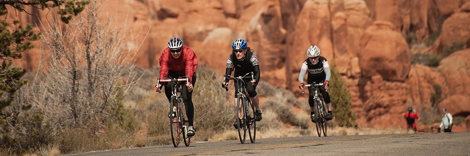 Three cyclists are ridding in a line down a paved road. There are large red rocks behind them and some shrubs to their side.