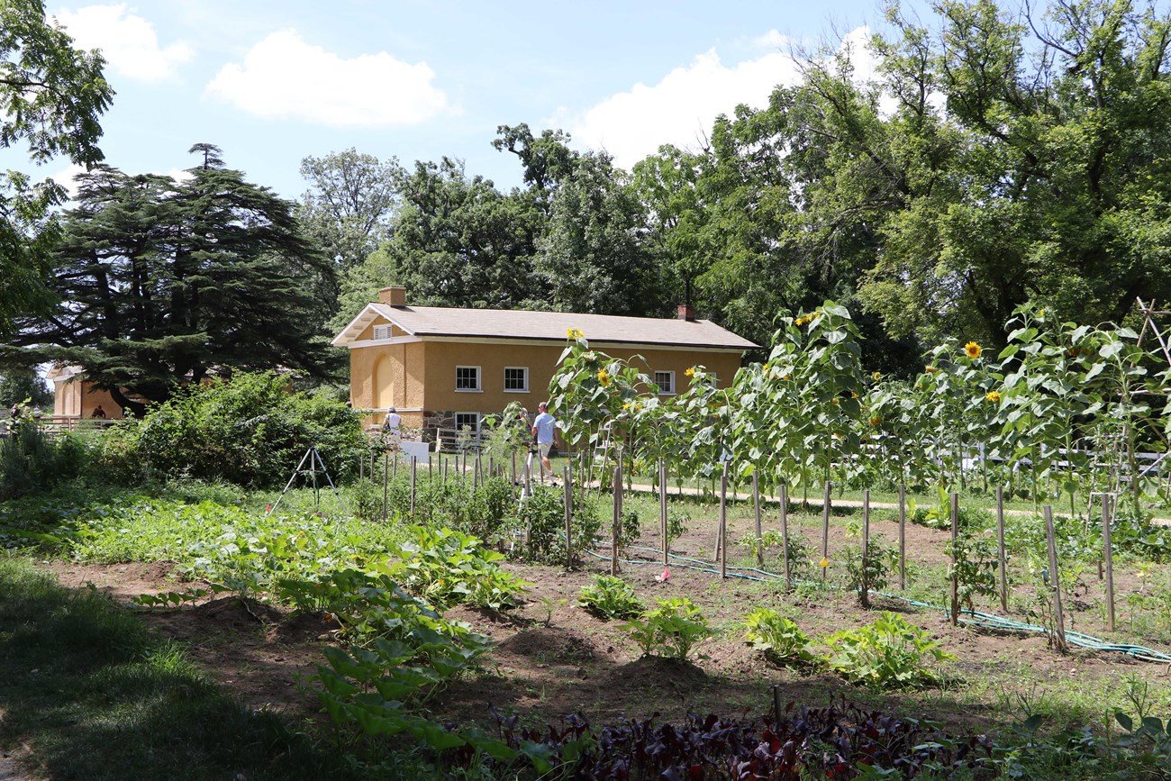 Arlington House Slave Quarters