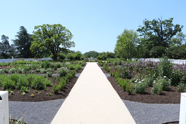 A flower garden in spring.