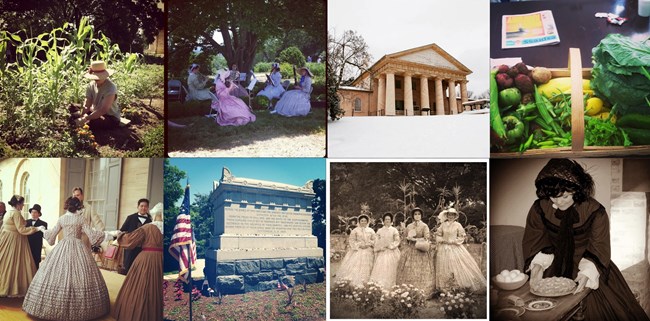 multi instagram multi instagram