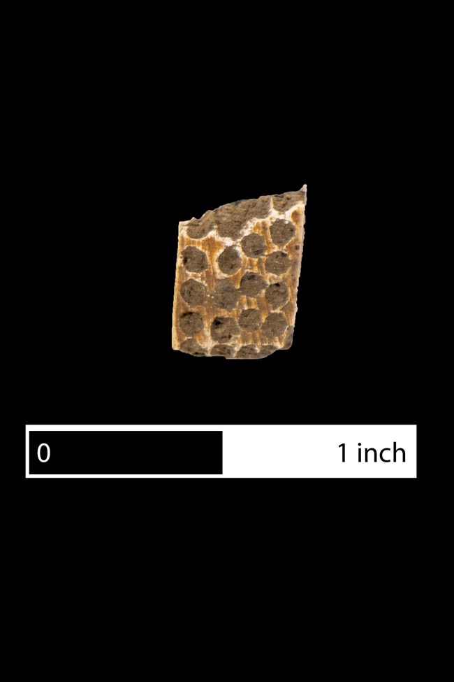 Fragment of a toothbrush head.