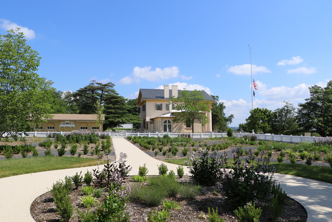 A garden with the site in the background