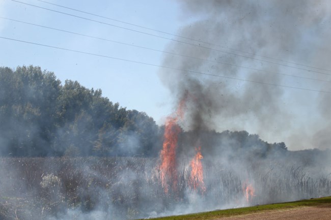 Prescribed fire at Arkansas Post