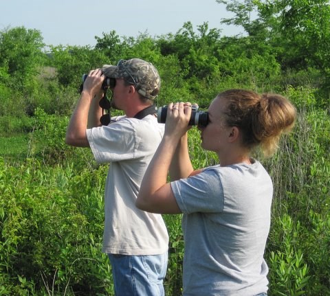 bird survey volunteers