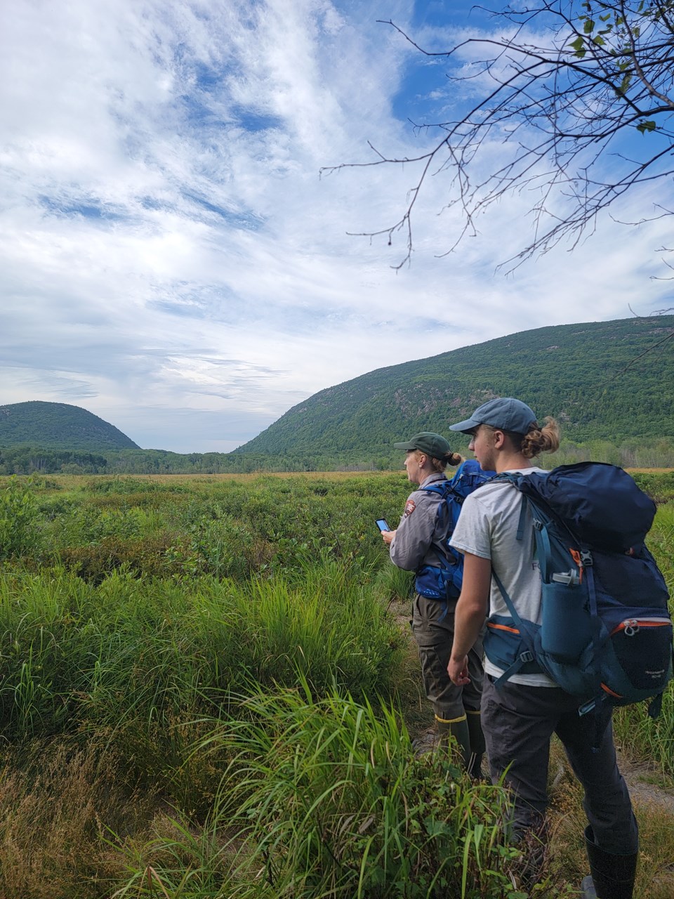 two people with backpacks stand in a green meadow wetland with rolling mountains in the background two people with backpacks stand in a green meadow wetland with rolling mountains in the background