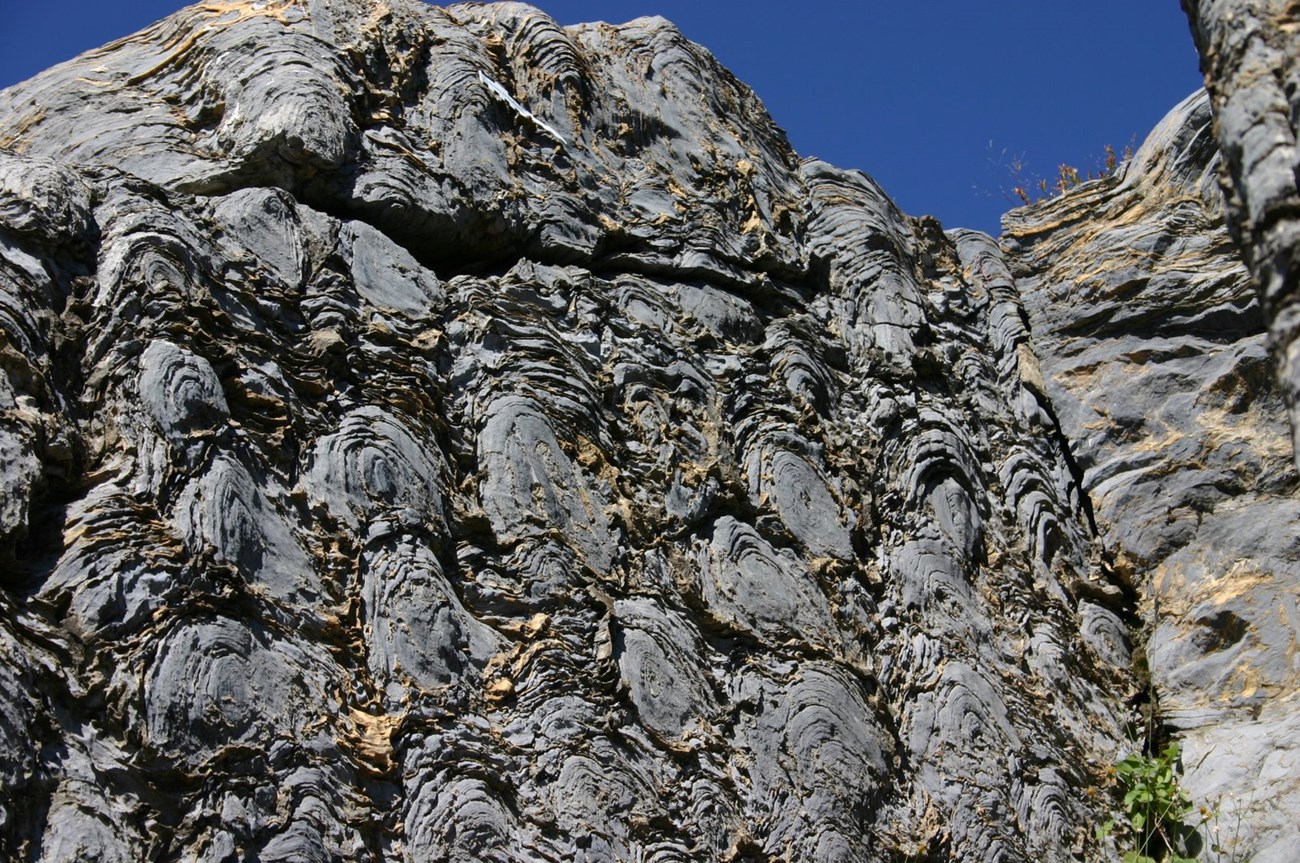 01 PRECAMBRIAN - GLAC STROMATOLITES rock outcrop with exposed stromatolite fossils