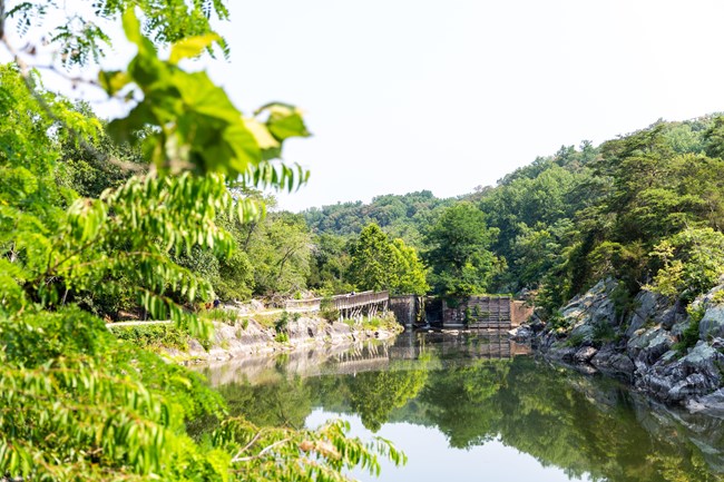 Widewater West Bridge and Lock 15 A watered canal surrounded by dense green vegetation