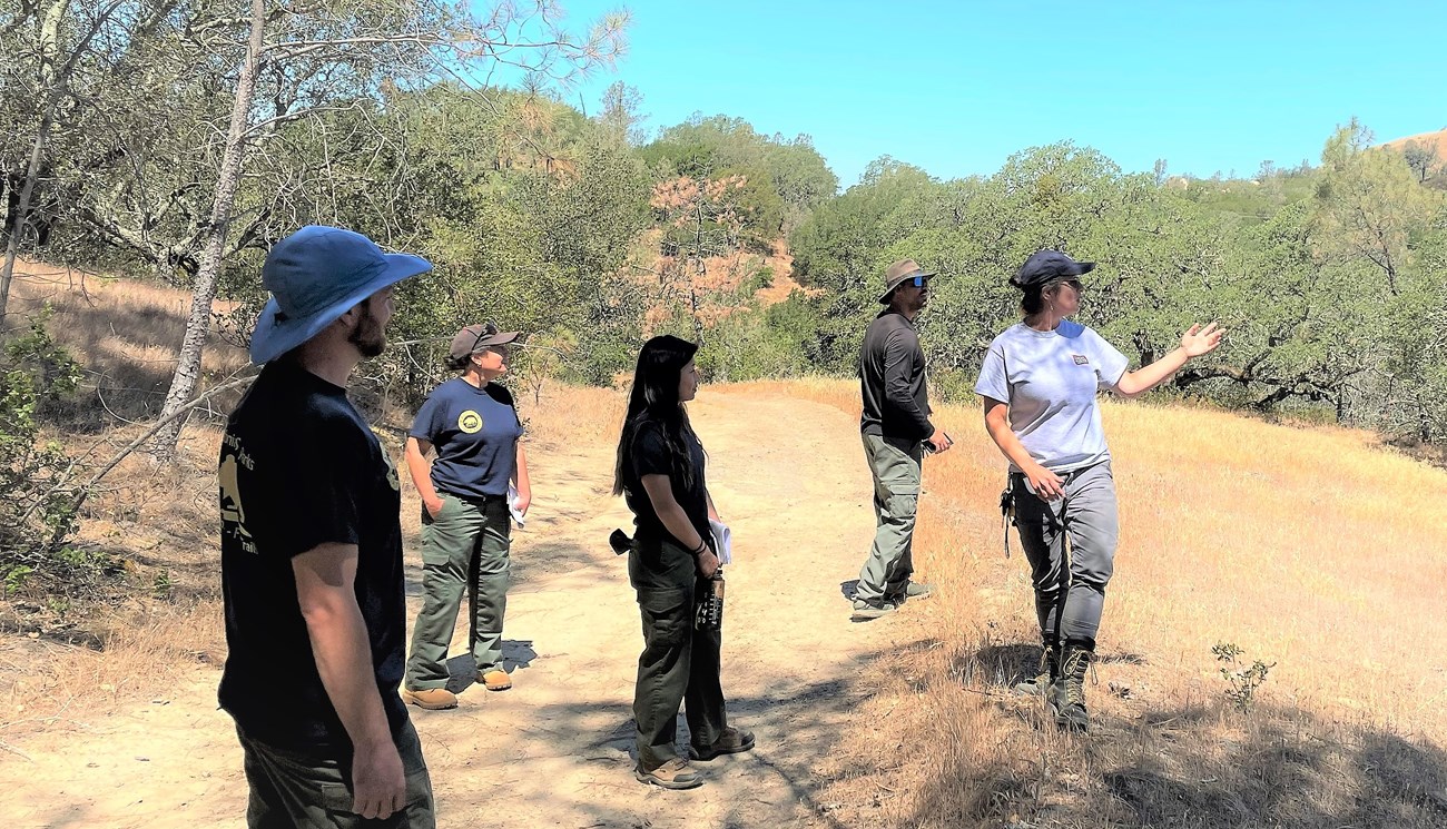 Invasive plant management training Group of poeple outside on a trail on a bright, sunny day. One is talking and gesturing accross the hilly landscape as the others look on.