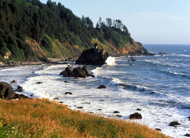 Redwood NP Coastline Redwood NP Coastline