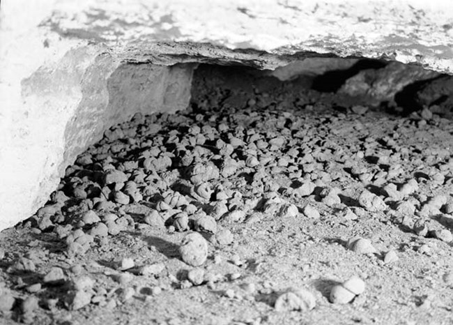 photograph of the inside of a cave