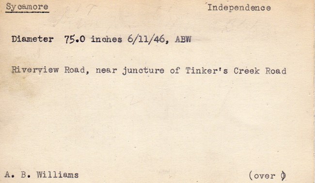 Front side of a typed card, browning with age. “Diameter 75.0 inches 6/11/46, ABW, Riverview Road, near juncture of Tinker’s Creek Road.”
