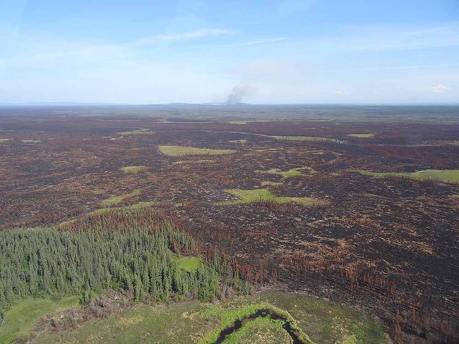 080415 Carlson Lake web A burned area of tundra
