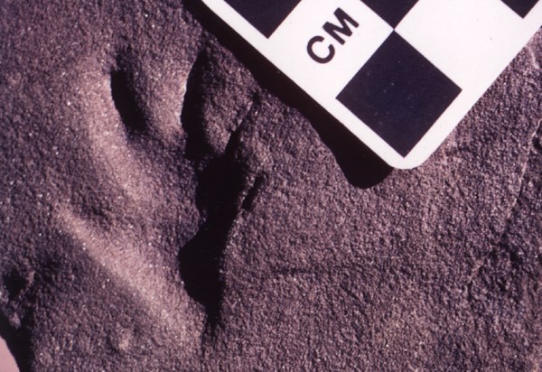 small footprint in stone