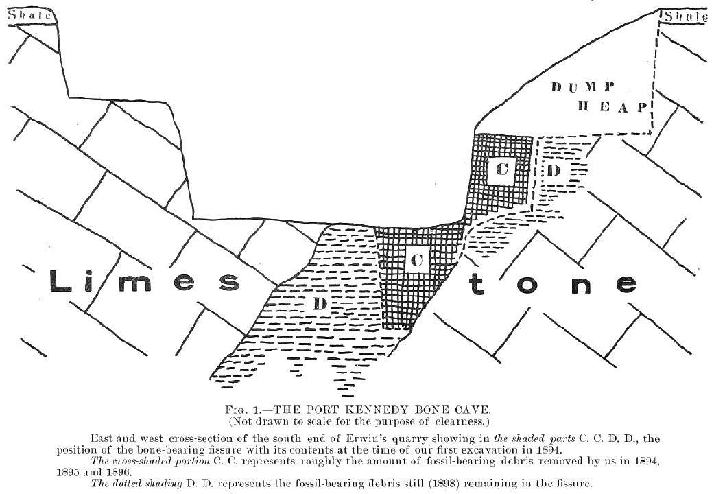 A cross-section of the Port Kennedy site prepared for Henry Mercer's 1899 article