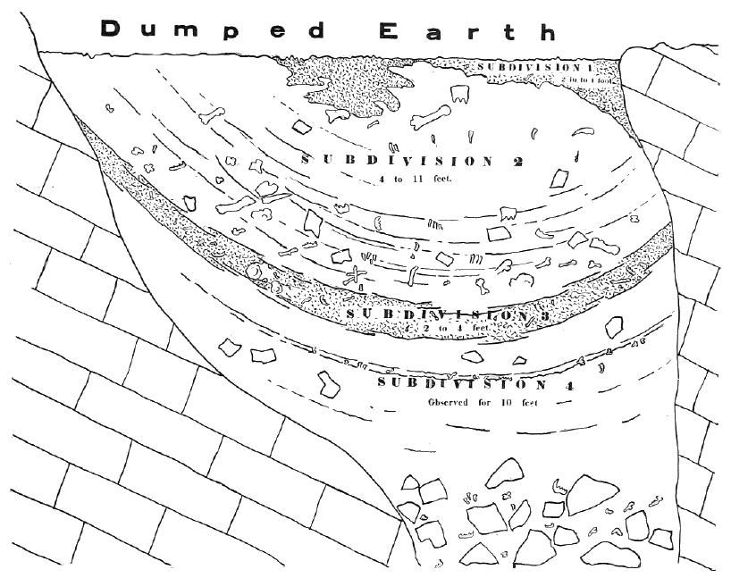 A drawing of the stratigraphy of the cave deposits