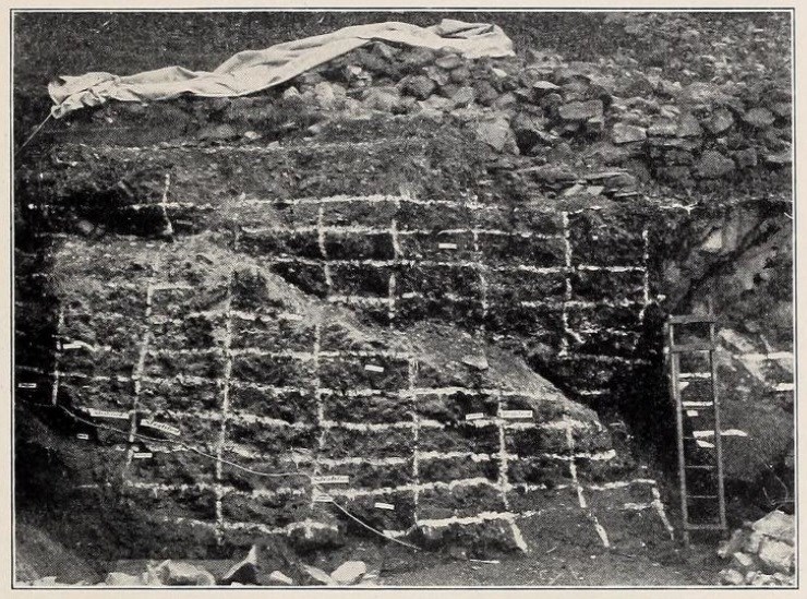 Pit wall with gridwork used by the scientists