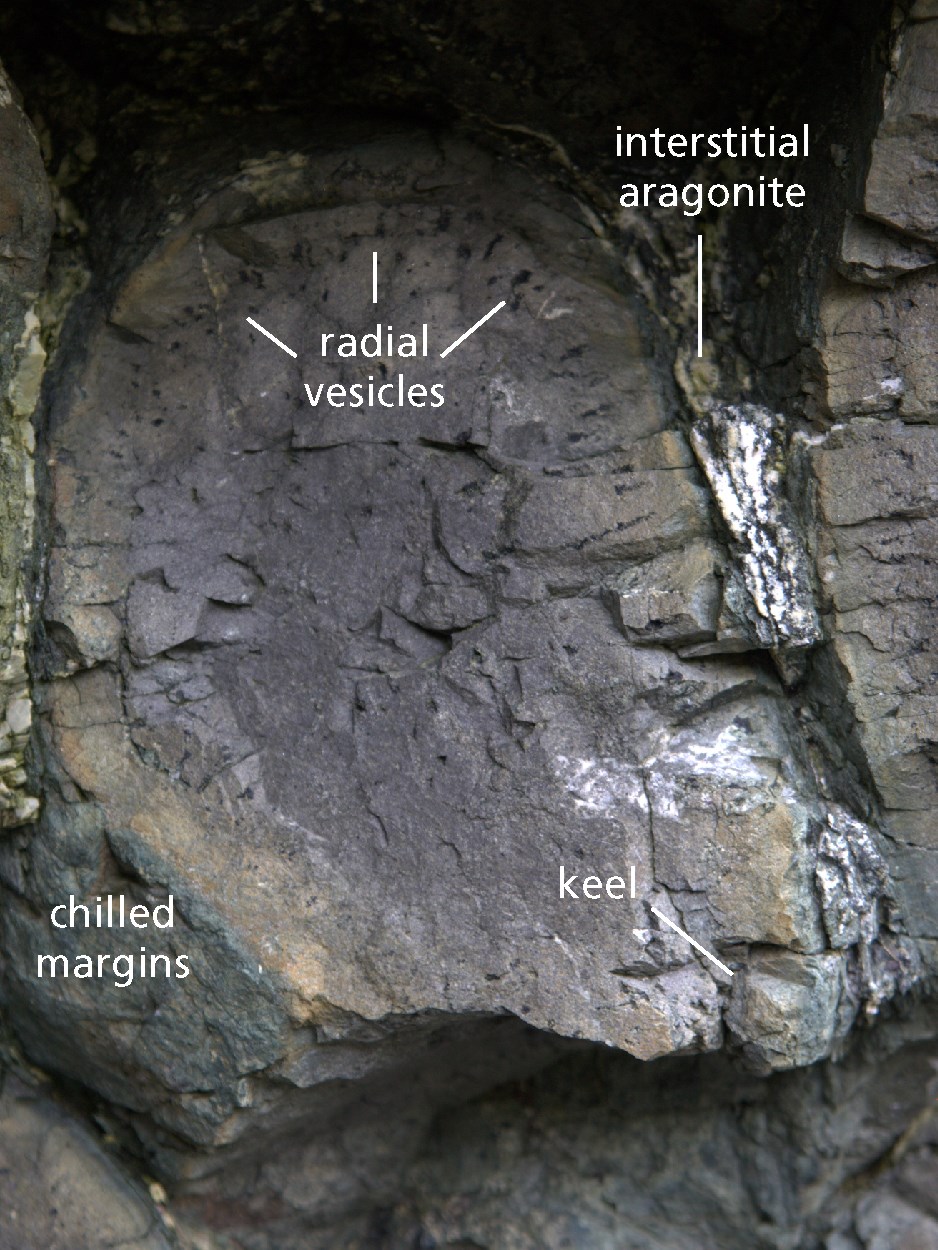 photo of pillow basalt showing vesicles (bubbles)