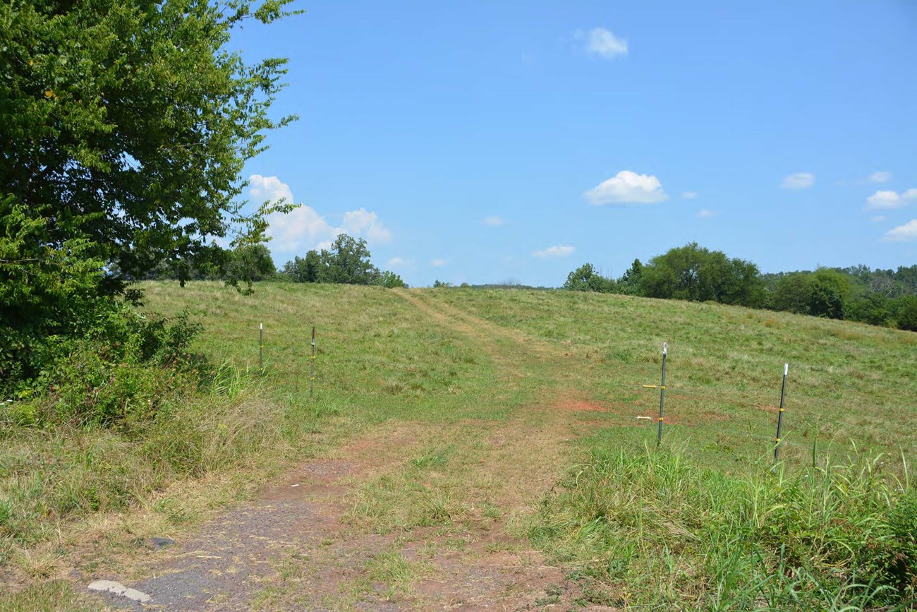 1 - Cedar Mountain-Pegrams Battery A two-track dirt road runs through the center of the photo towards the summit of a small, grassy hill surrounded by trees.