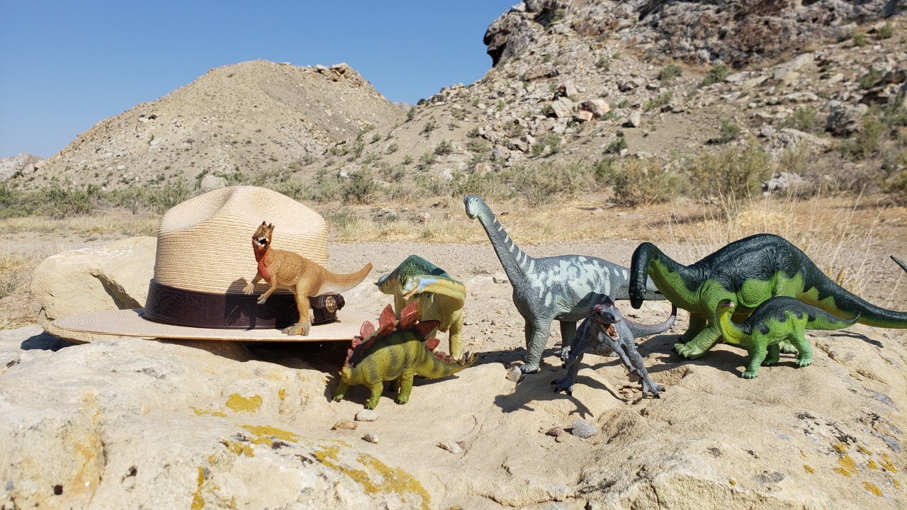 DINO Plan like a Ranger Dinosaur models sit on a rock with a ranger hat.