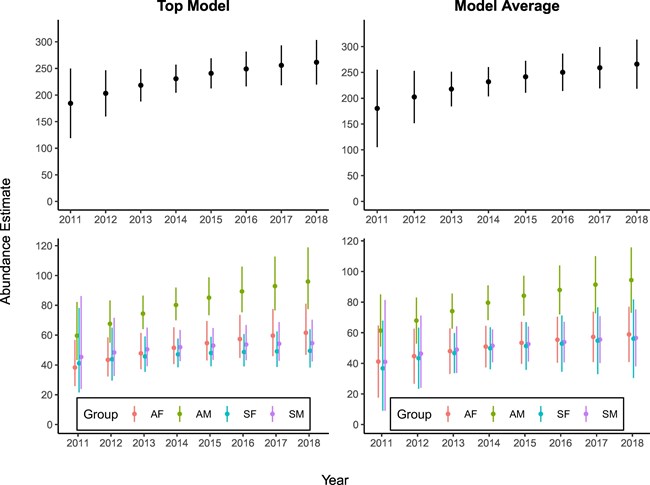 Four small graphs of annual white shark abundance generally showing small abundance increases each year from 2011 to 2018.