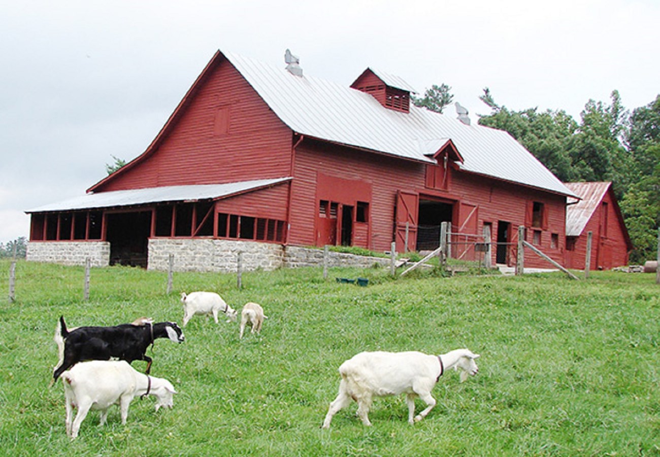 10 goat barn image A large red barn with a metal roof sits surrounded by fenced pastures and smaller farm buildings