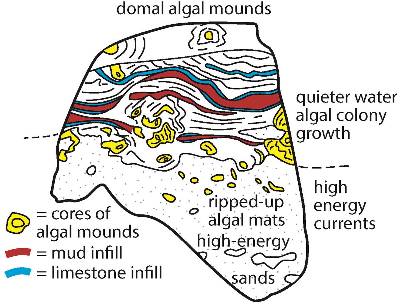 Illustration showing detail of minerals in a sample boulder.