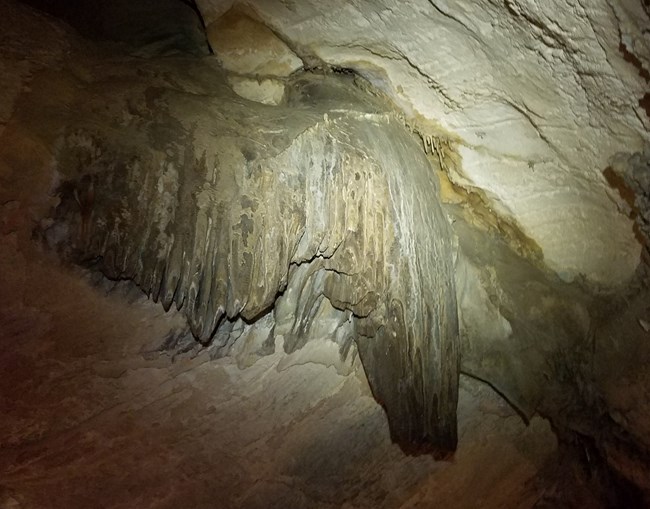 A cave formation that looks like an eagle’s wing in the Lodge Room provides a good example of a calcite speleothem corroded by acidic condensation.