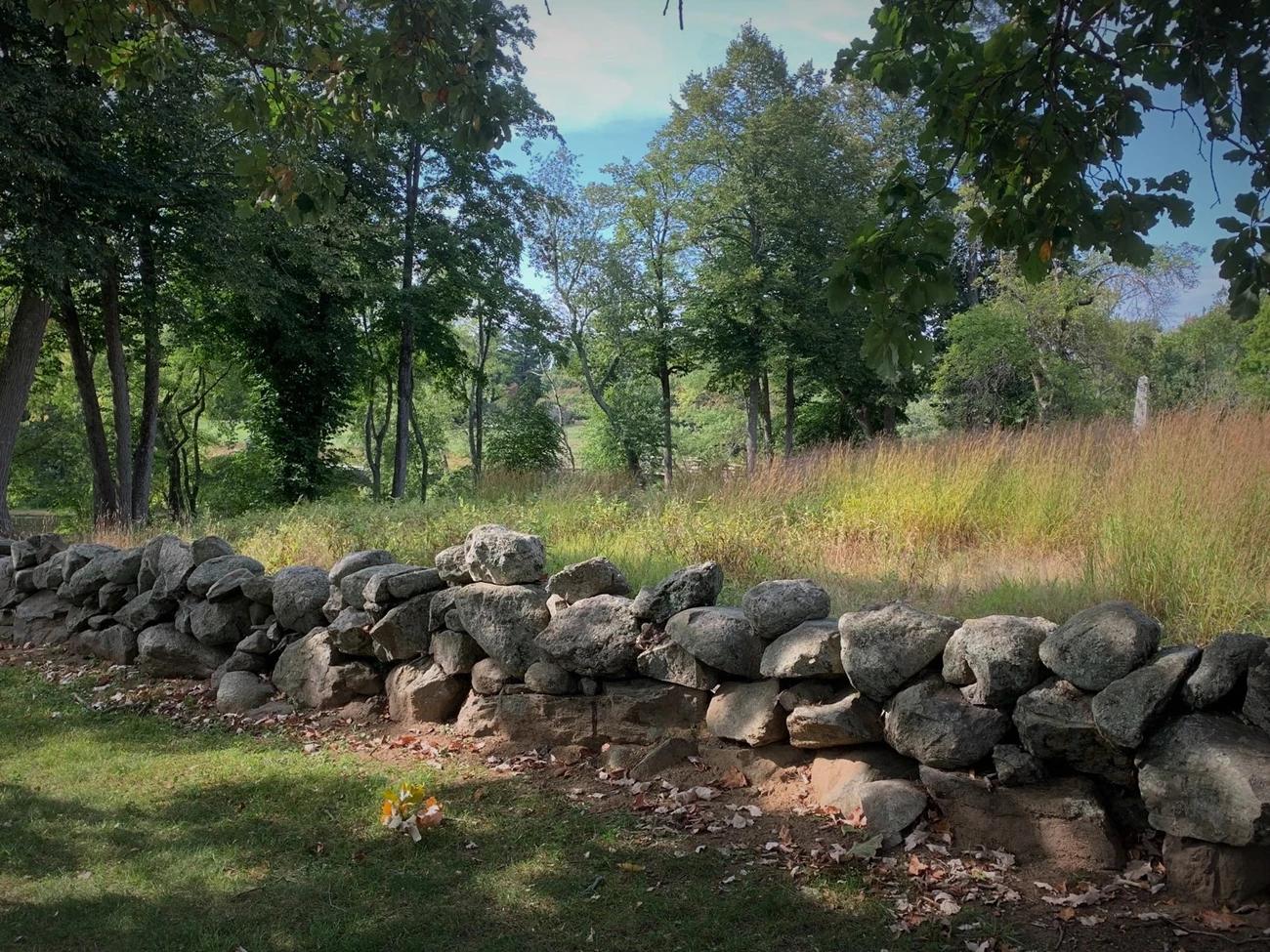Stone Wall at Minute Man NHP Rough stones piled on top of one another, about 3-4 stones high, form a rock pile in a straight line across the image.