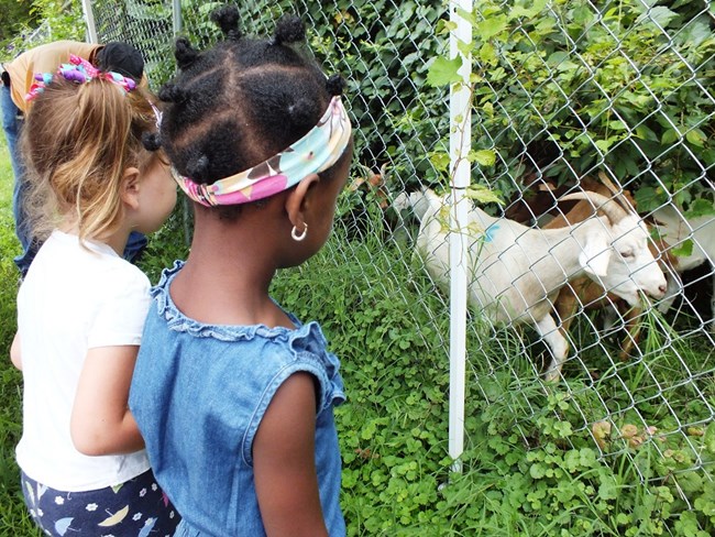 Kids Watching the Kids. Two small girls watching goat kids graze. Kids Watching the Kids. Two small girls watching goat kids graze.