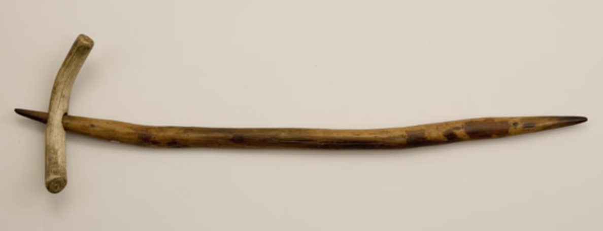 1216 A smooth, slightly curved brown stick lies horizontally on a table. It has a short handle at the left-hand end, which is made of light-grey bone. The right-hand end has a slightly pointed tip.