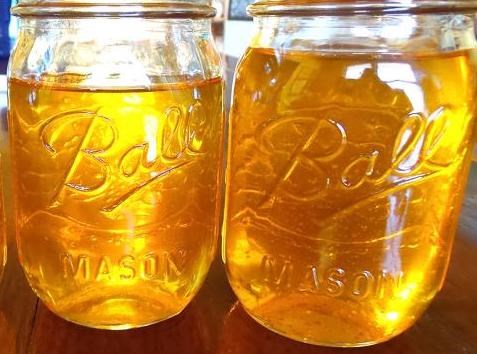 1217 Two glass jars filled with yellow, rendered bear oil.