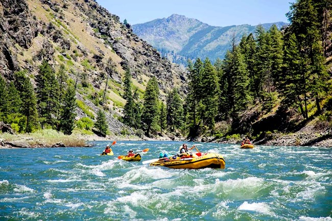 1269 Several yellow rafts and kayaks navigate through the whitewater rapids of the Salmon River. Rugged mountains peaks surround the area, with rocks and green pine trees scattered along the sides.