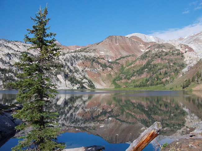 A beautiful lake in the foreground with a barren mountain in the distance which is Sacajawea Peak in Oregon.  A light dusting of snow is seen on the higher peaks in the distance.  In the foreground of the lake stands a green pine tree.  The sky is deep bl